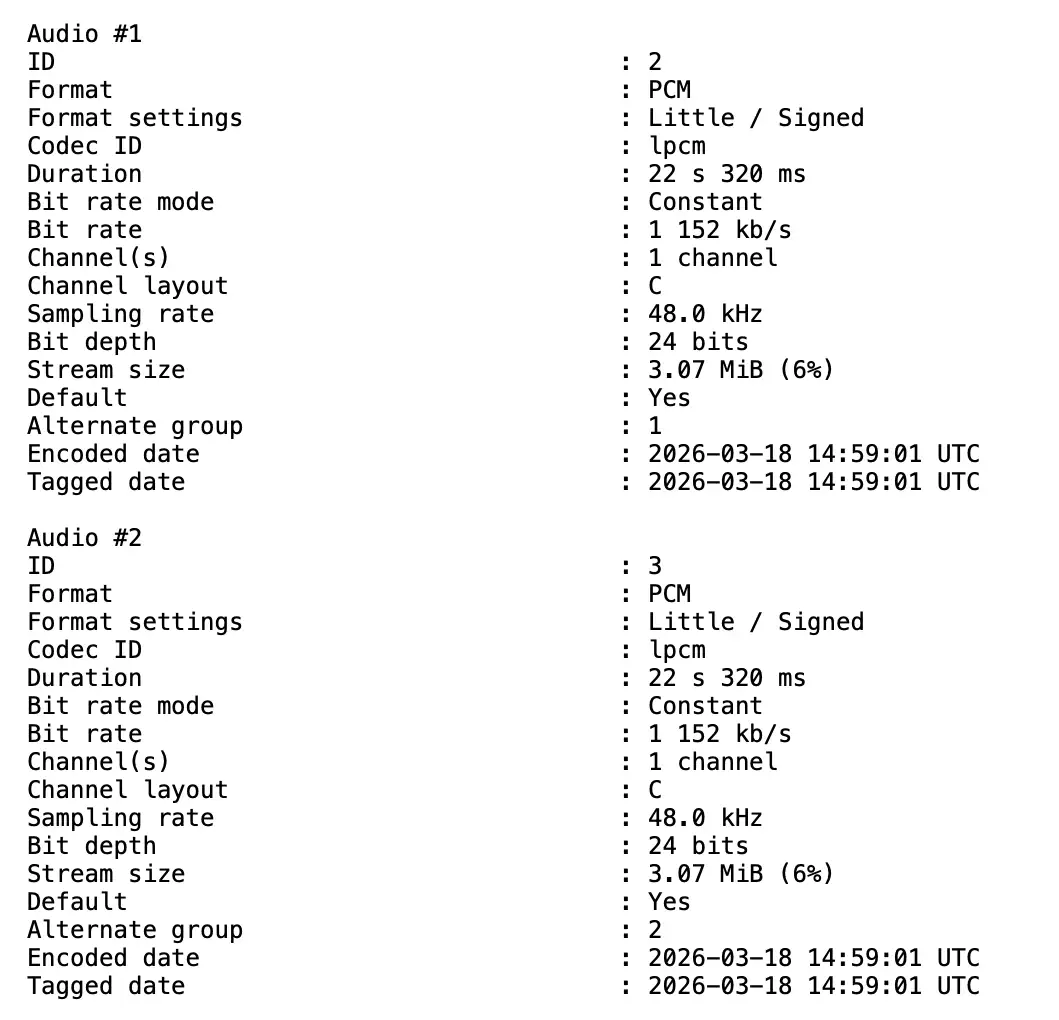 MediaInfo - 2 Tracks, je 1 Channel