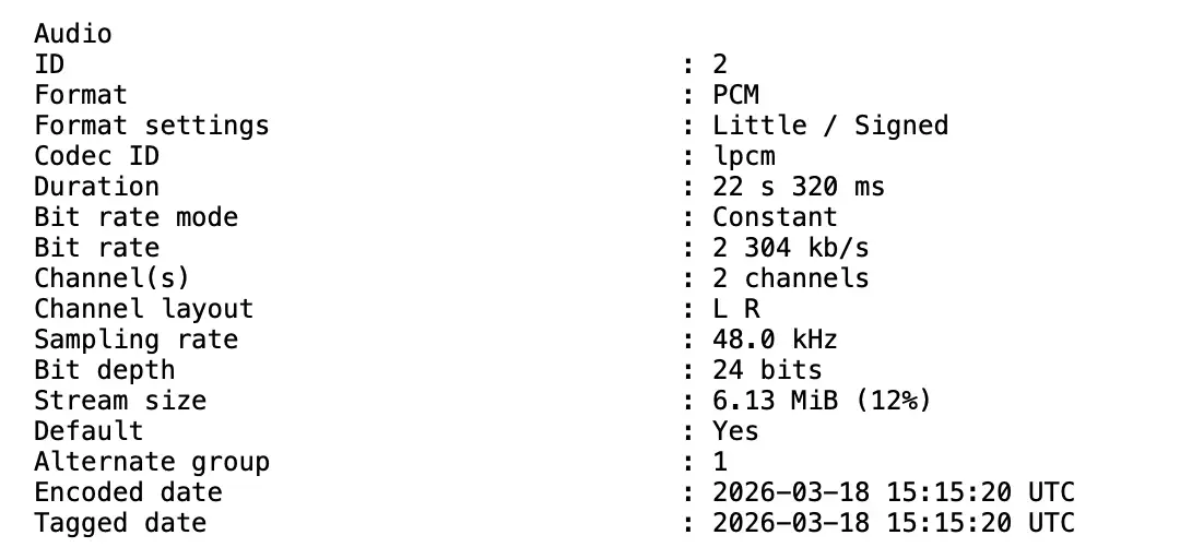MediaInfo - 1 Track, 2 Channels